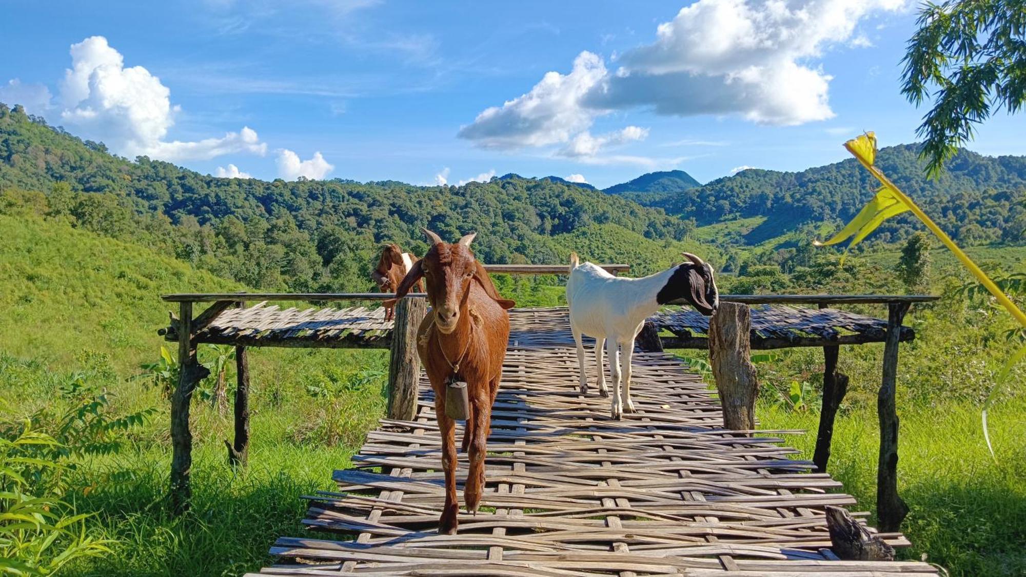 ไร่นิธิสุนทร Nithisoonthon Farmstay Mae Hong Son Buitenkant foto