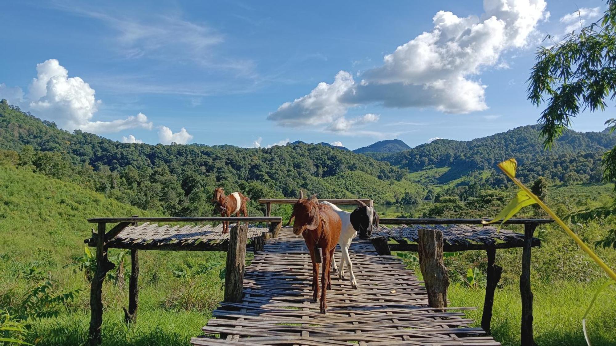 ไร่นิธิสุนทร Nithisoonthon Farmstay Mae Hong Son Buitenkant foto