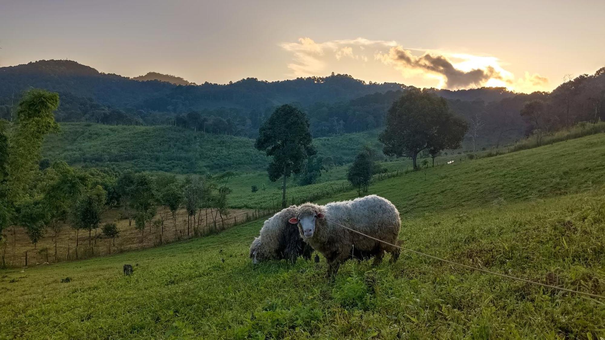 ไร่นิธิสุนทร Nithisoonthon Farmstay Mae Hong Son Buitenkant foto