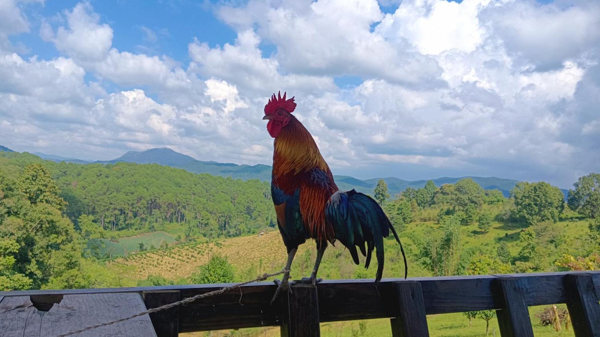 ไร่นิธิสุนทร Nithisoonthon Farmstay Mae Hong Son Buitenkant foto