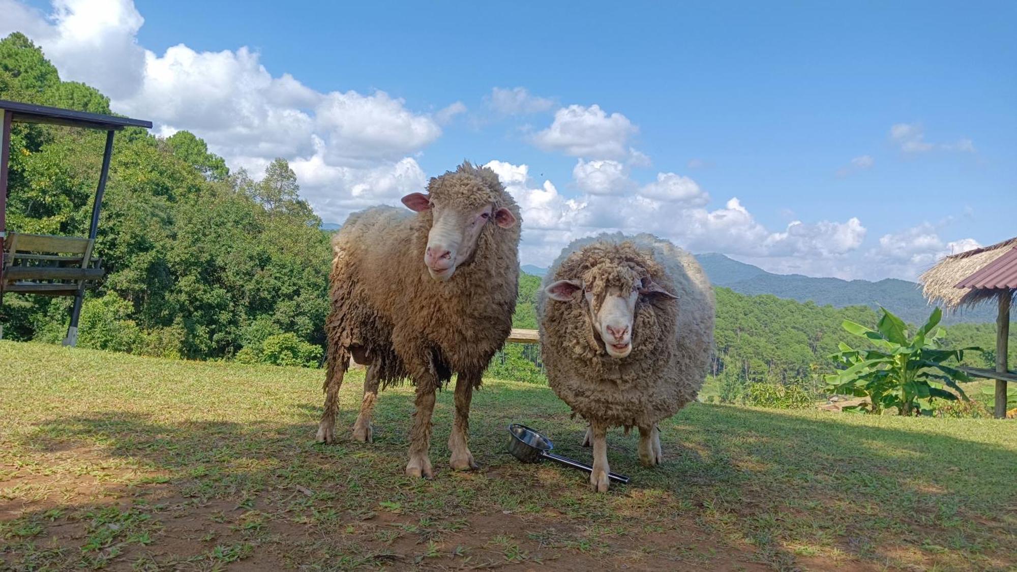 ไร่นิธิสุนทร Nithisoonthon Farmstay Mae Hong Son Buitenkant foto
